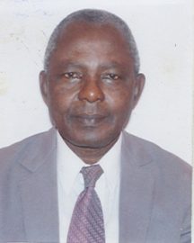 Professor Fola Esan